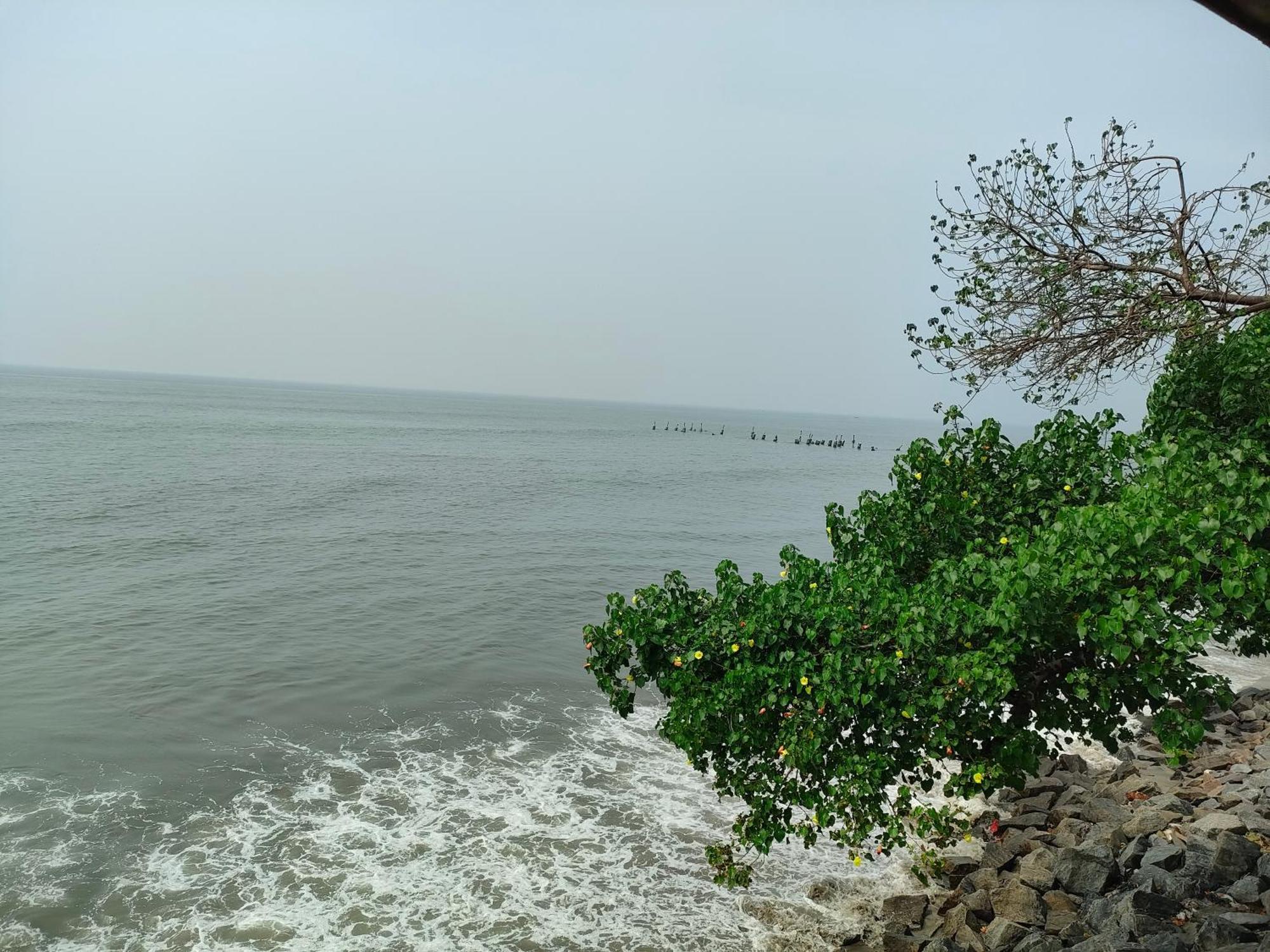 Coastal Den Homestay Pallipuram Exterior photo
